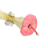 Paradise / Apple Core Spin Ring