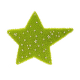 Paradise / Grass Star Hair Clip Large