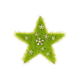 Paradise / Grass Star Stud Earring