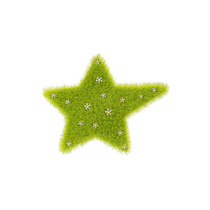 Small YVMIN Paradise Grass Star Hair Clip with green star-shaped design for decorative hair styling.