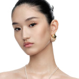 Paradise / Wooden Acorns Earring