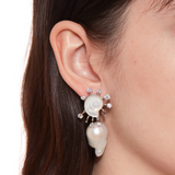 Tasty / Sun Conch Pearl Earring