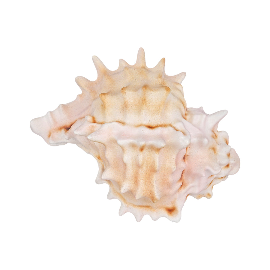Ripple / Oyster Conch Hair Clip